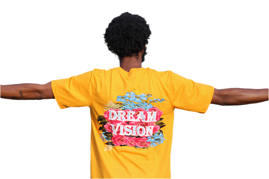 DreamVision "DreamSicle" Orange T - Shirt
